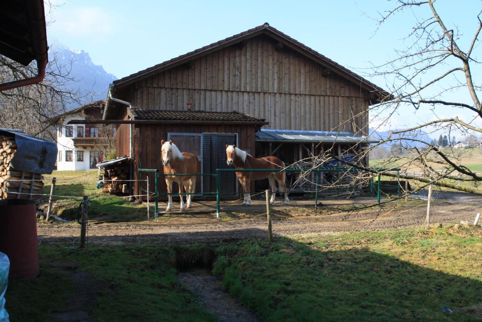 Appartement Bachbauernhof à Bayerisch Gmain Extérieur photo